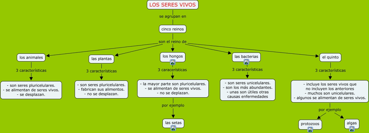 Los 5 reinos C